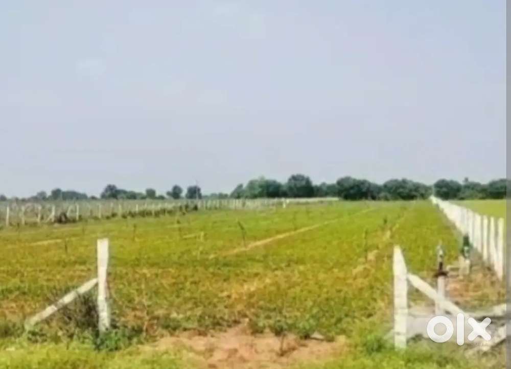 I Want agriculture land for lease