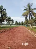 200sq.yrds Land 10Lakhs Sale Kothavalasa Musiram Road
