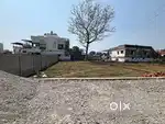 Plot for sale