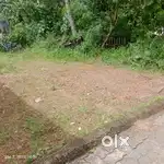 Plot for sale near kakkanad csezb