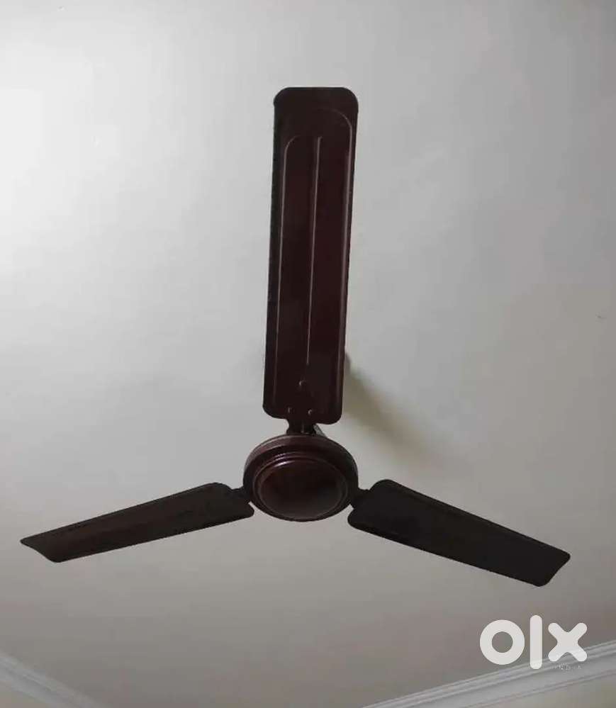 Ceiling Fan