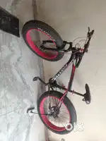 Fat tyre cycle