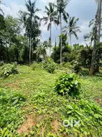 Residential Land for sale at Kolazhy  Thrissur