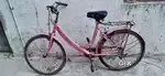 bicycle  (miss India gold) pink colour