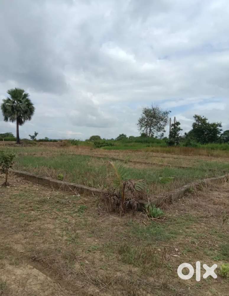 General plot for sale Near Jamadarpali