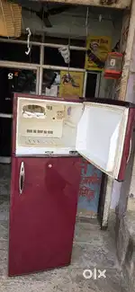 Frzee double door