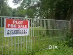 Plot for sale 35 Cents Puliyoor Madathumpady Chengannur
