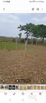 Plot for sale near niser and cancer hospital jatani khordha