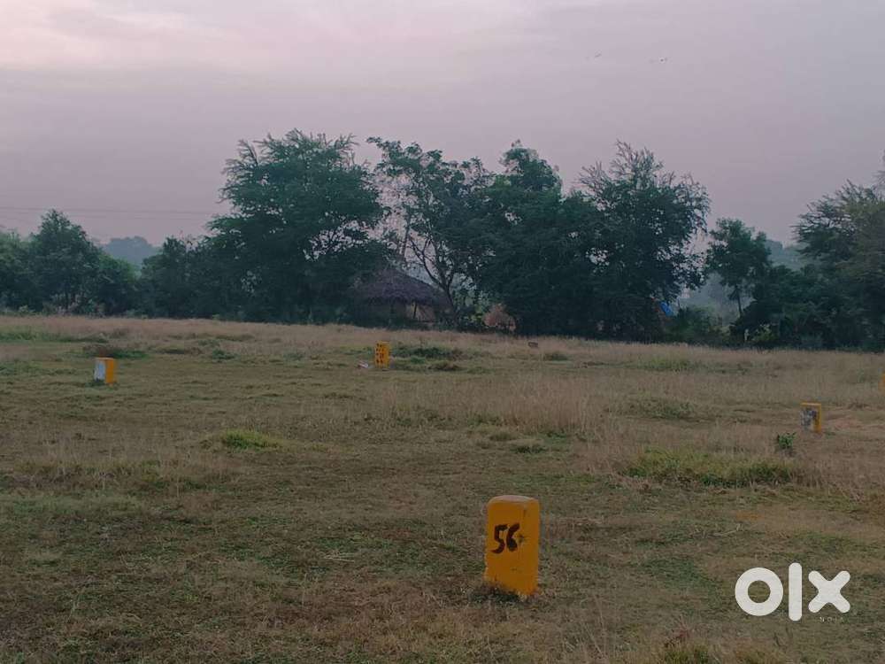 North Facing Plot for sale near koripalli Karapa kakinada