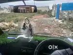 Maruti Suzuki Omni 2014 Petrol 85000 Km Driven