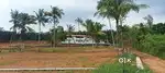 House plot വിൽപ്പനയ്ക്ക് തലയോലപ്പറമ്പ്( പൊതി)