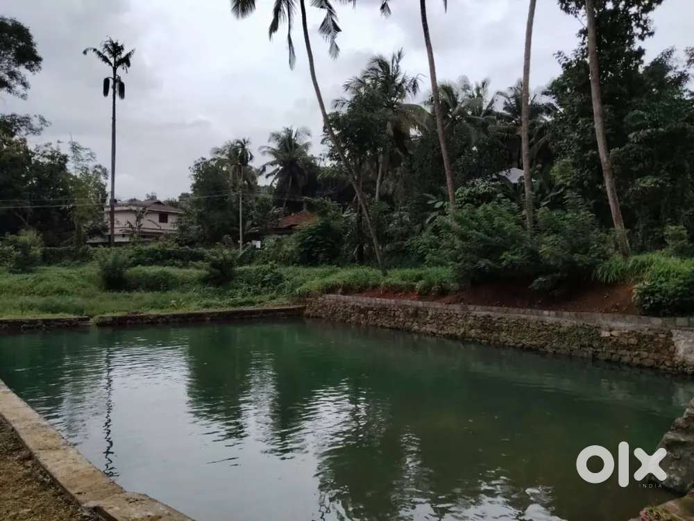 2 acre 80 cent contact @ adkka thottam