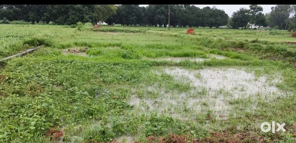 Phoolpur sudhanipur Mein plot sale