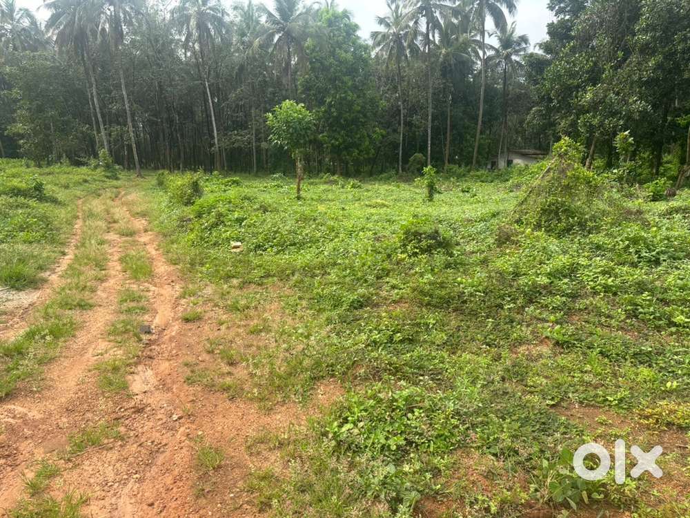 30സെന്റ് പറമ്പ് വില്പനയ്ക്ക്