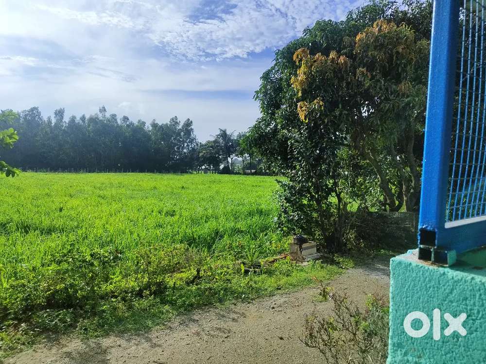 Councelling centre (Design for Living)