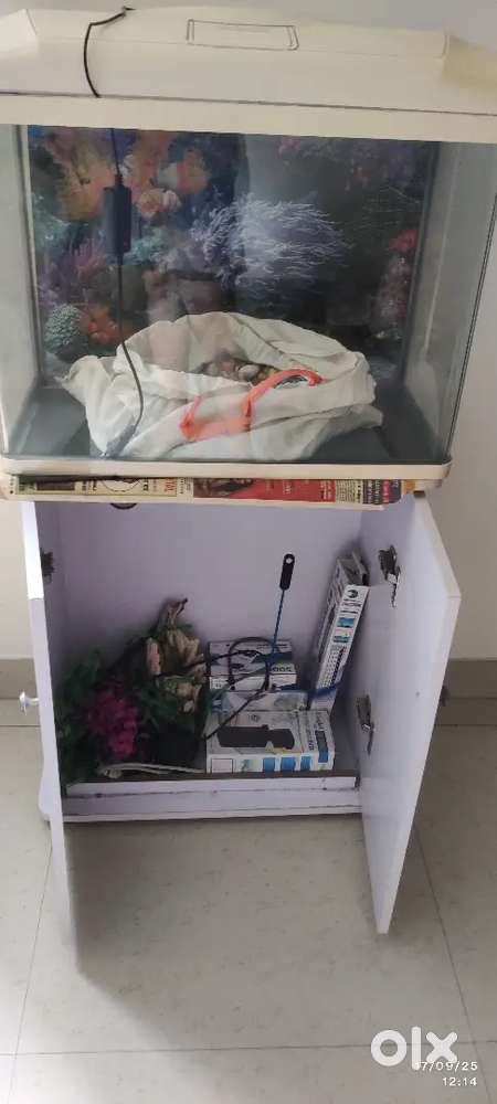 Aquarium for home with moulded glass