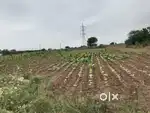 4 Acres Open Land For Sale In nagarjuna sagar airport 4km AP