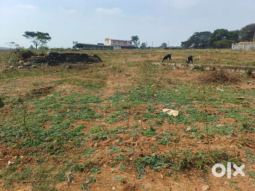 Plot for sale Kittur