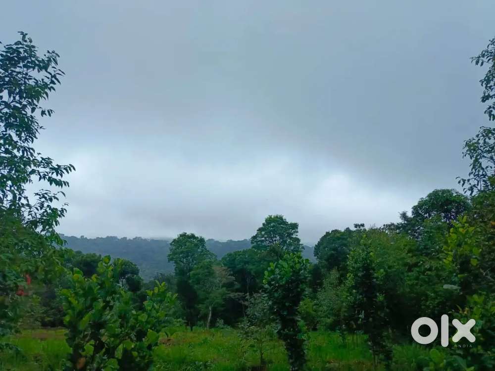 Rajakkad, Idukki. Good plot for build home or resort