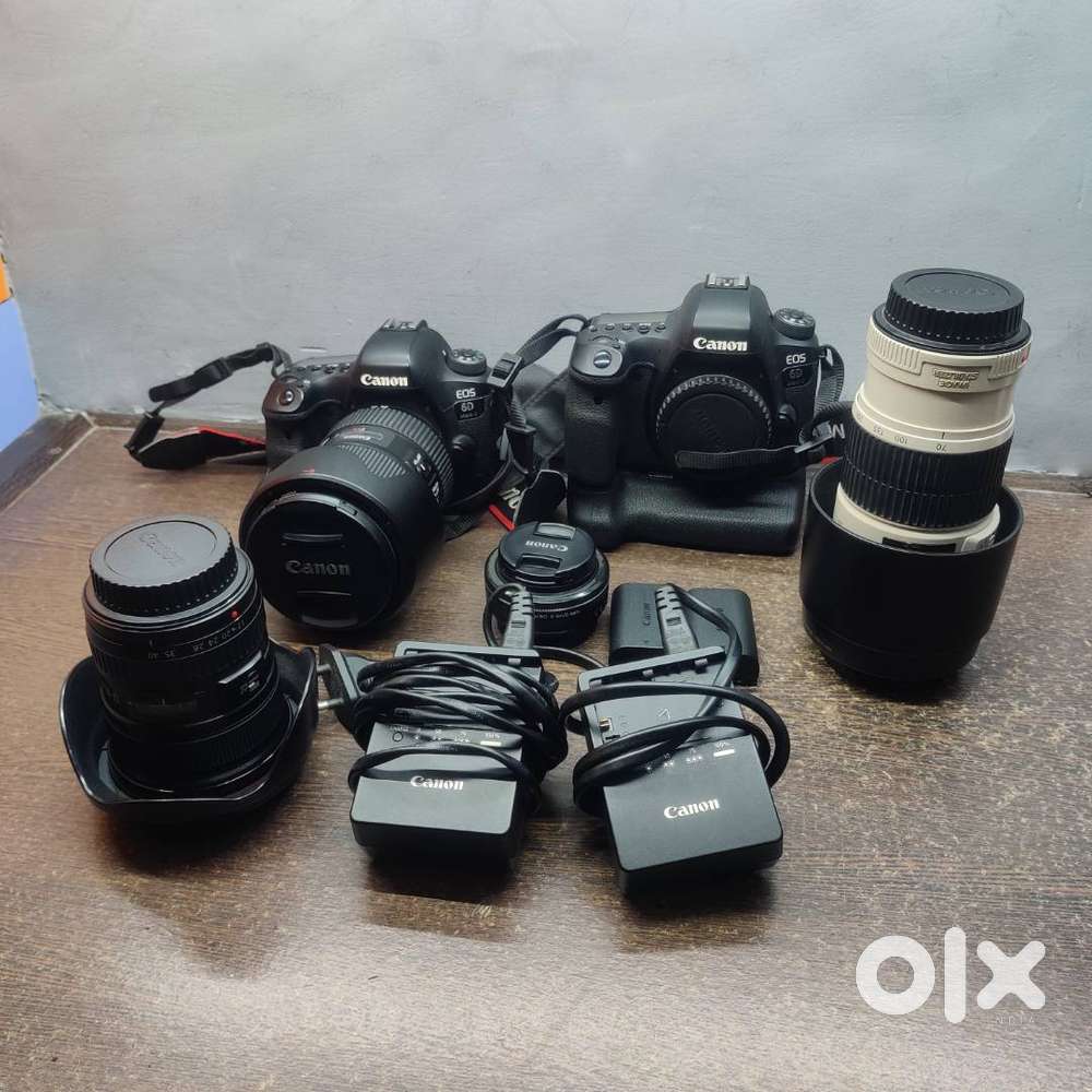 Canon 6D Mark 2, Canon EF Lenses Used in Studio cared professionally