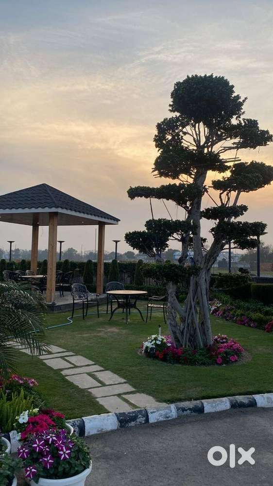 PLOT 11 MARLA ONE RISE, MOHALI.