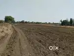PREMIUM 6-ACRE LAND FOR SALE ON WARDHA-RASULABAD HIGHWAY