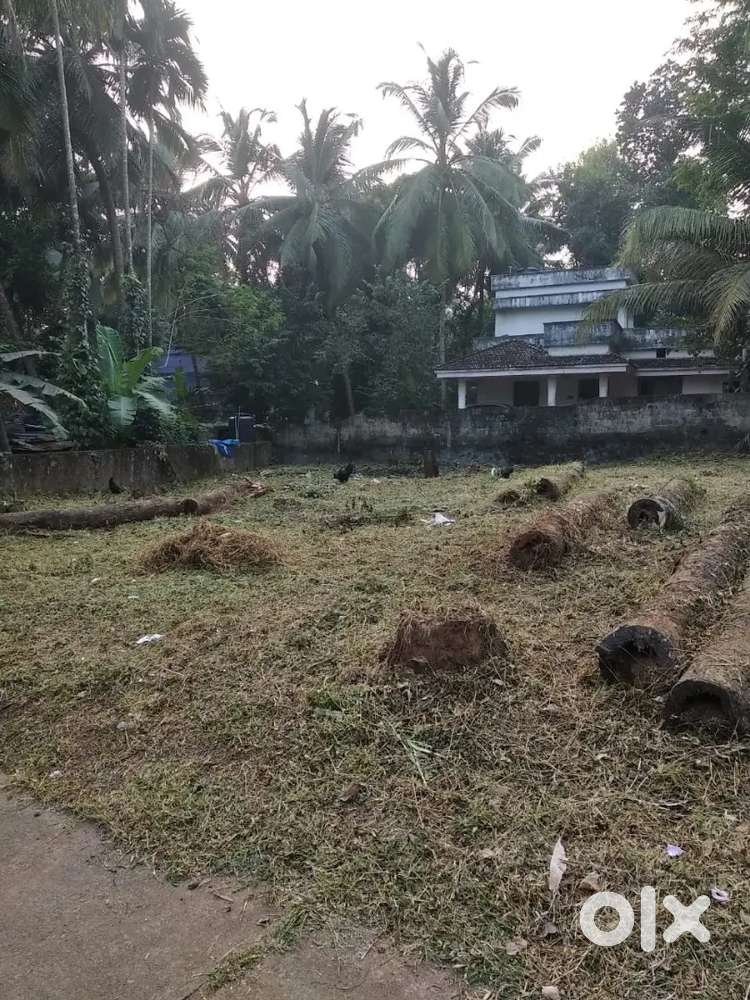 11 cent empty plot for sale in Ottappalam