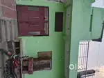 6 month old