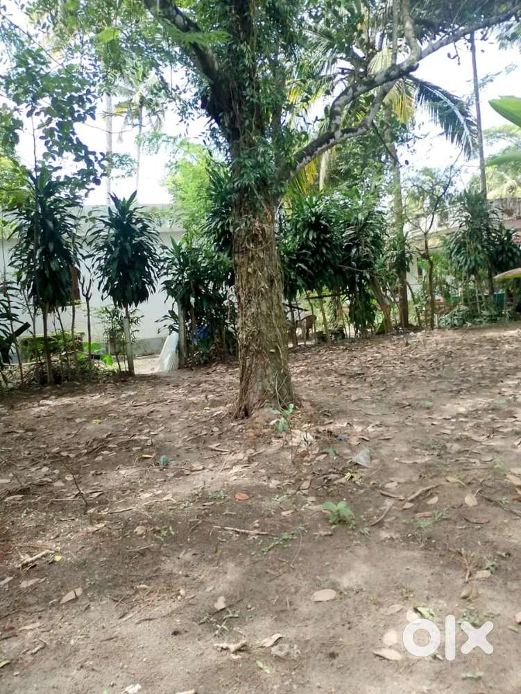 5cent square house plot facing east udayanapuram