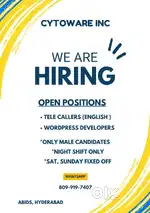 Tele callers, Wordpress Developers