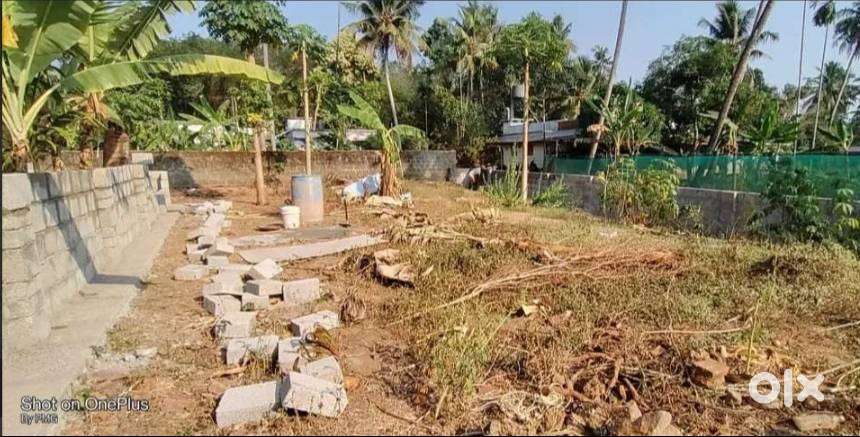 ഹോസ്റ്റൽ / ലോഡ്‌ജ്‌, ഗോഡൗൺ പണിയാൻ പറ്റിയ സ്ഥലം - തിരുവാങ്കുളം