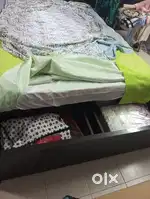 Engineered wood bed with branded Kurlon mattress