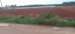 agricultural land