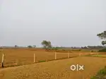 Plot For selling