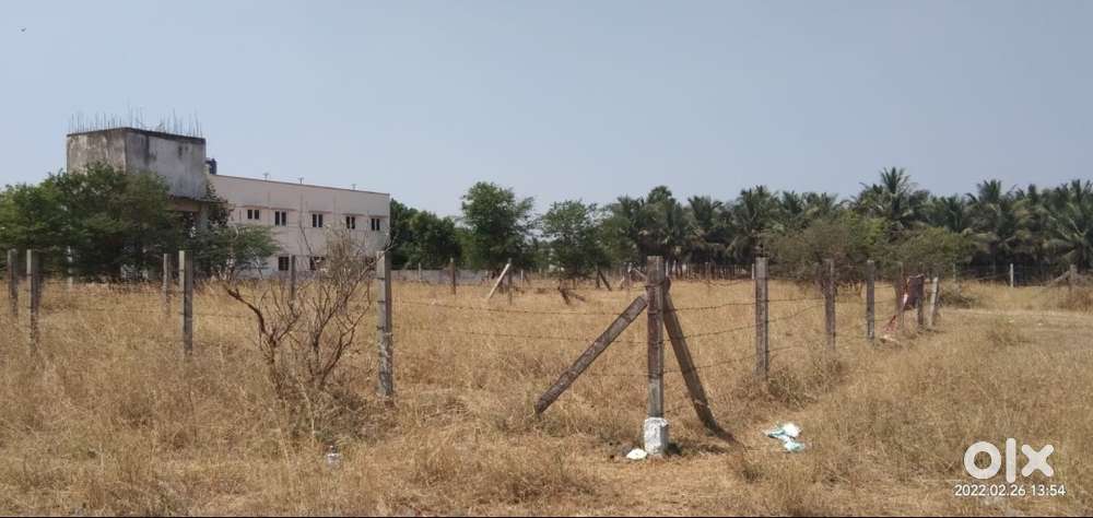 DTCP Approved Plot (Corner Site) for Sale