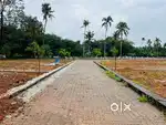 5 Cent house plots near Parakkodu - Pallikkara