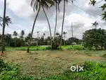 13 cents of garden land at Irinjalakuda with 4 meter pathway