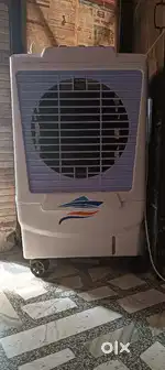 3 month old cooler