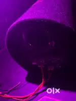 12 inch bass tube 15 days old
