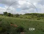 Land for zero rent