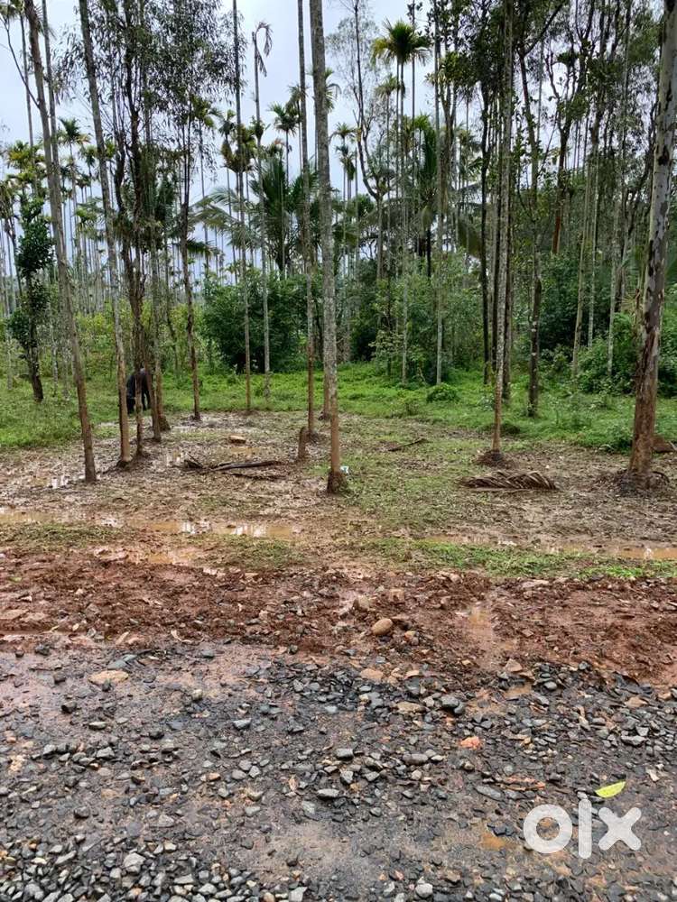 20 Cent Plot – Pambala Vasuvanchal Road, New Road Front