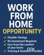 WORK ONLINE( WORK FROM HOME)