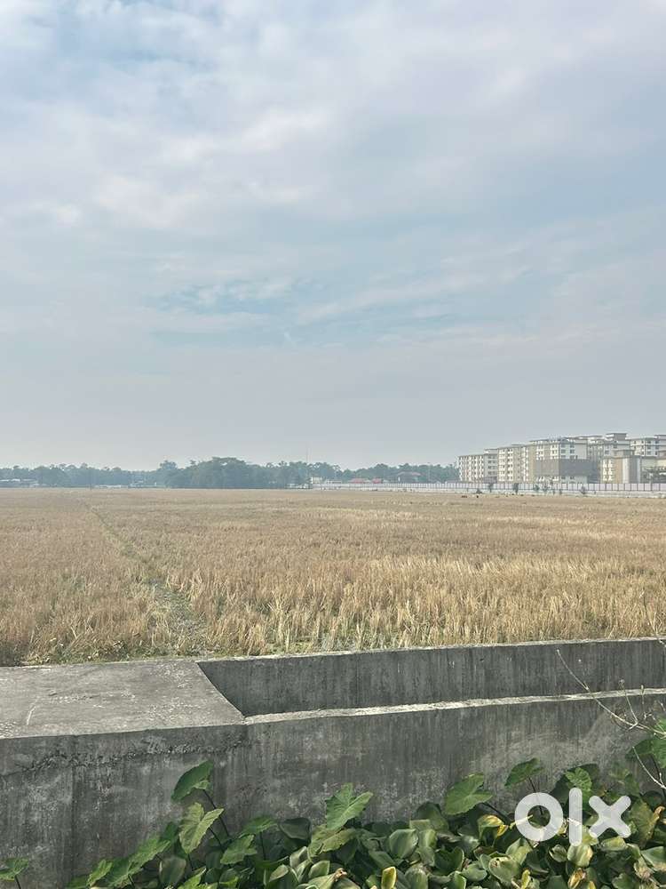 5 bigha land near Nalbari medical