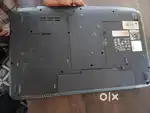 Leplop acer