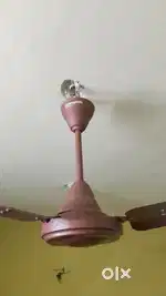 Sealing fan Crompton