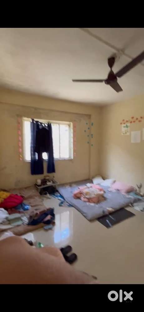 Looking for a female flatmate