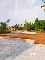 Info park Phase 2