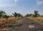 6 cents ( 3 + 3 ) at A Narayanapuram