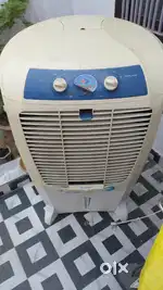 Cooler 4 year old