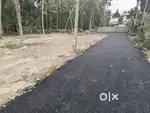 കരുനാഗപ്പള്ളി ചിറ്റിമൂലാ  വസ്തു വില്പനക്ക്
